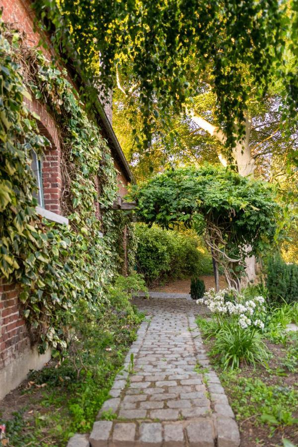 Relais M B&B Frasnes-lez-Anvaing Eksteriør billede